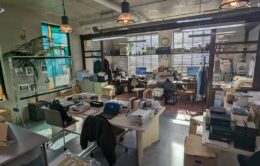 クジャクのダンス誰が見た調光フィルム